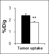 U87MG 종양모델 마우스에서 68Ga-NODAGA-VEGF121의 종양세포 섭취도