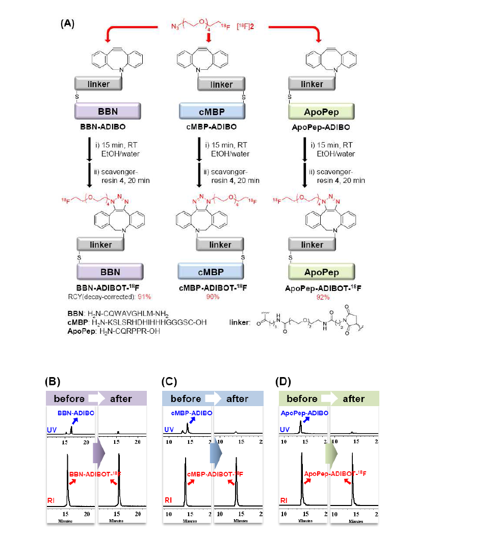 (A) 다양한 종류의 F-18이 표지된 peptide 합성 및 정제과정 (B-D) 3종류 F-18 표지 peptide의 HPLC 분석 결과