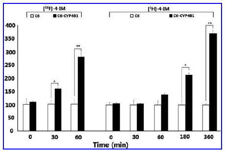 in vitro cellular uptake of F-Ipomeanol(왼쪽), Ipomeanol(오른쪽) in C6, C6-CYP4B1. *p<0.01, **p<0.001