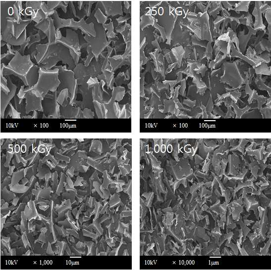 방사선 조사량에 따른 폐폴리우레탄의 미세분말 FE-SEM 이미지