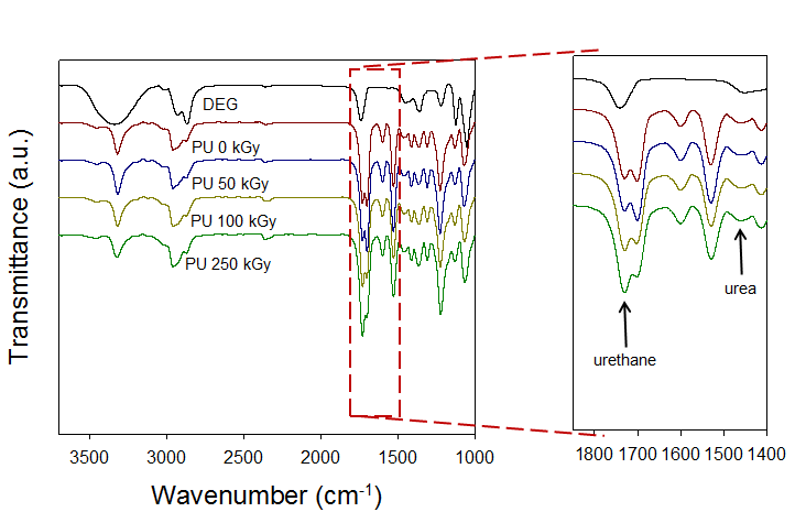 방사선 전조사법에 의해 해중합된 PU의 FT-IR peak