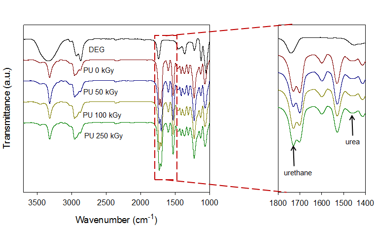 방사선 후조사법에 의해 해중합된 PU의 FT-IR peak