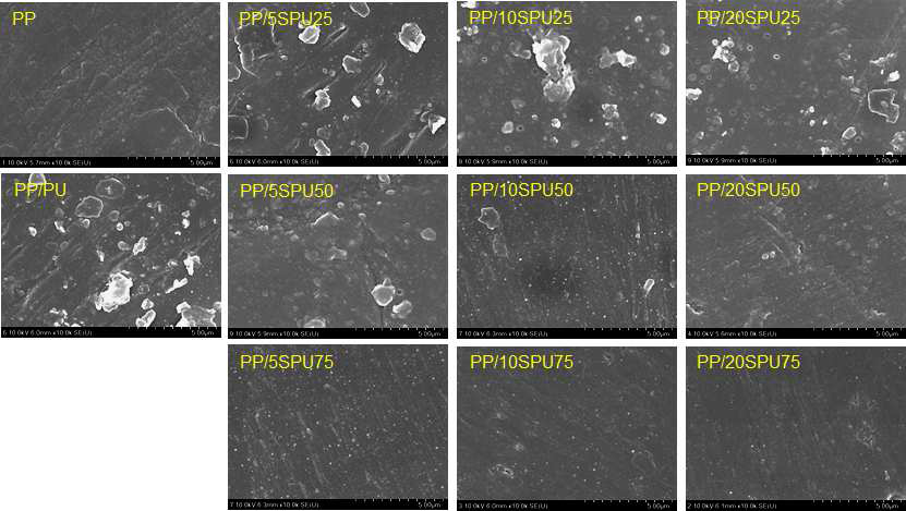 폴리우레탄/폴리프로필렌 블렌드의 FE-SEM 이미지