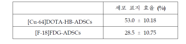 [Cu-64]DOTA-HB와 [F-18]FDG를 이용한 세포표지시 세포표지효율 비교