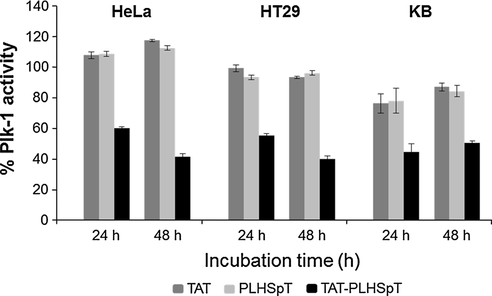 [Plk1 kinase activity with TAT-PLHSpT (5 μM) in the HeLa, HT29, and KB cells after 24 and 48 h incubations]