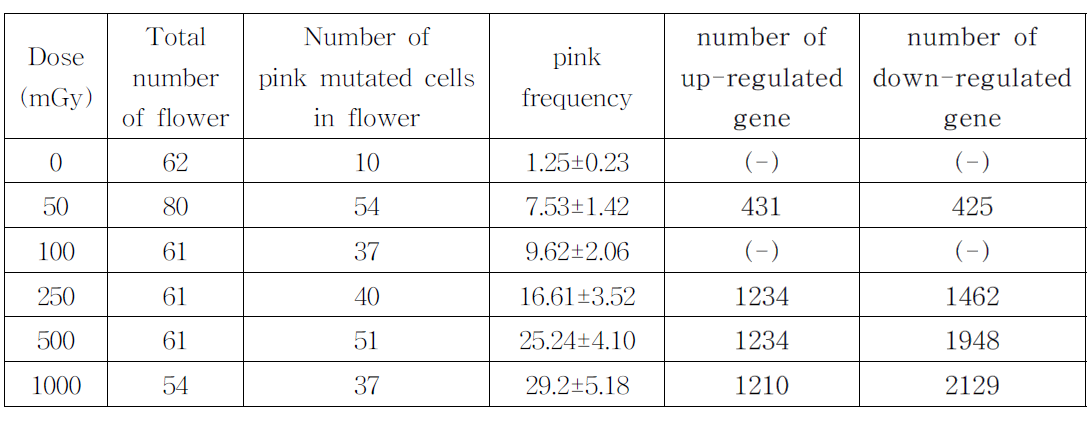 방사선 조사 후 BNL_4430에서 측정한 분홍 수술털 돌연변이와 반응유전자 상관성 분석