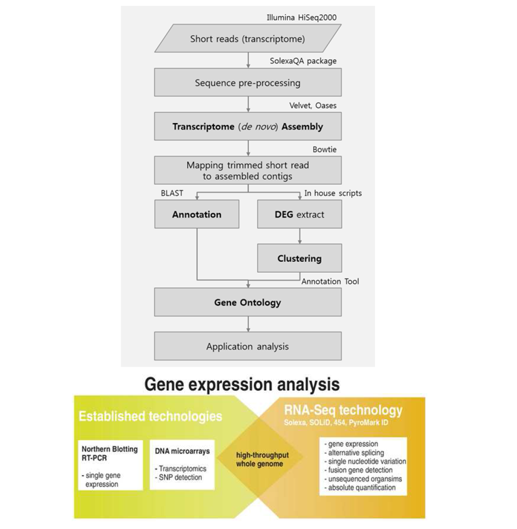 RNA-seq 분석 모식도