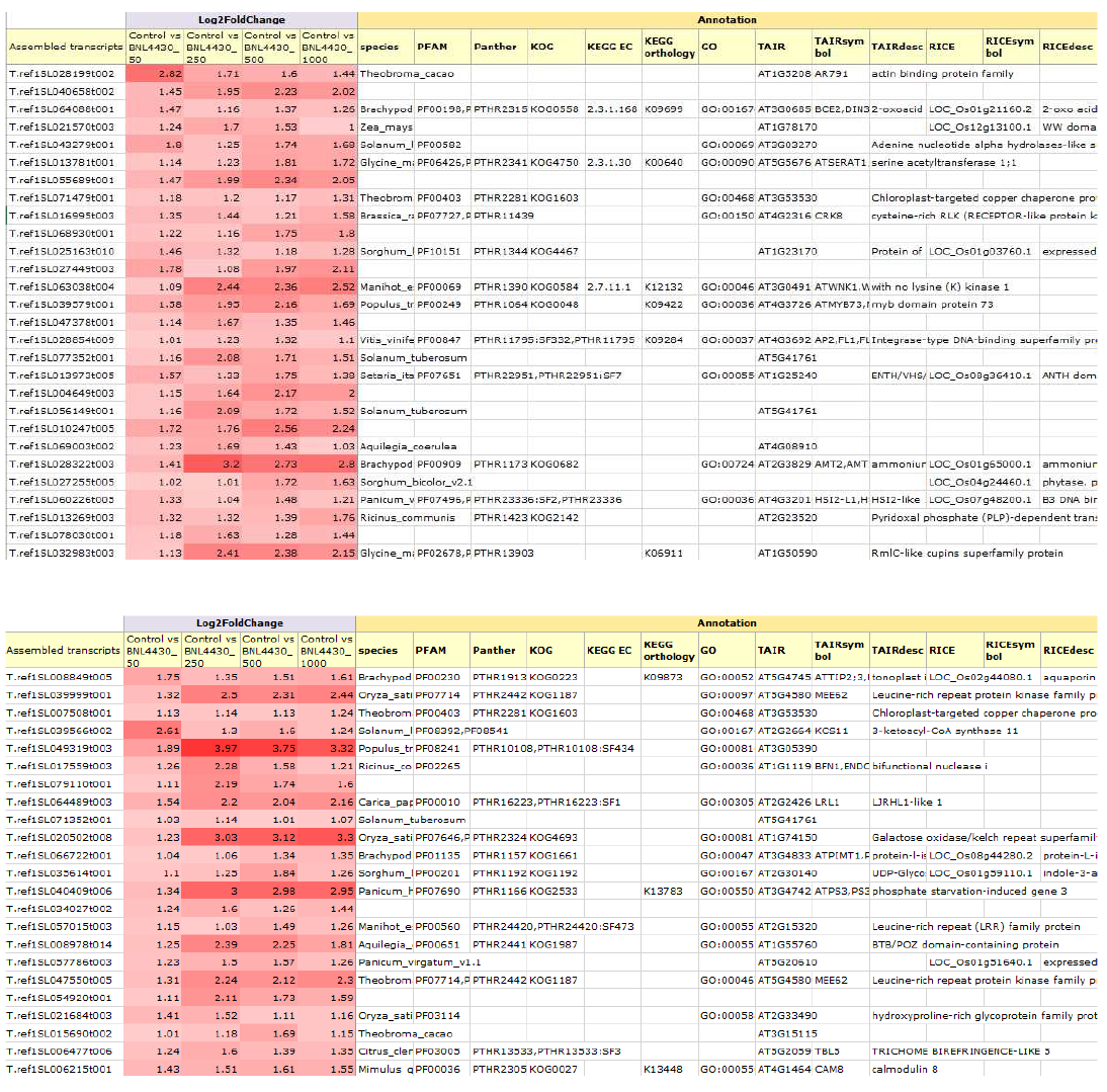 방사선 조사 후 BNL 4430의 RNA Seq.결과를 바탕으로 수행한 DEG 분석 시, 공통적으로 발현조절이 증가된 유전자군