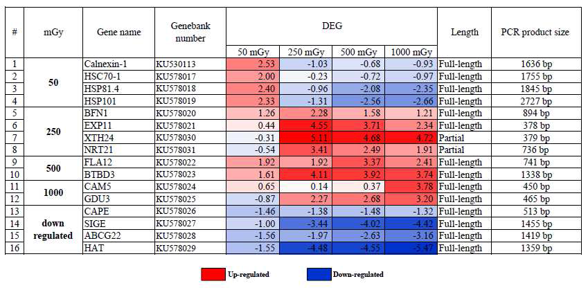방사선량 감지용 키트에 들어가는 선량별 상향 또는 하향 조절되는 유전자 16개의 DEG 정보.