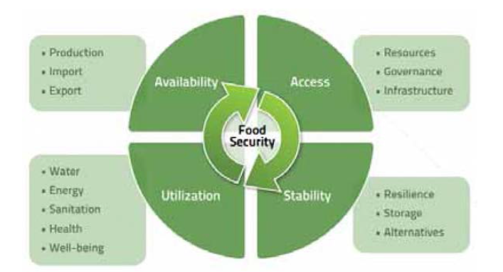 FAO 식량 안보의 구성요소