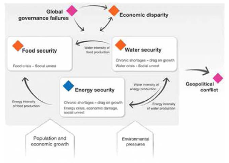 ‘World Economic Forum 2011 ’ WEF 프레임워크