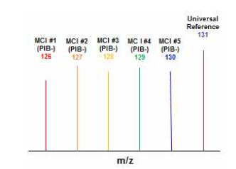 MCI(PIB-) 시료 6-plex TMT 표지