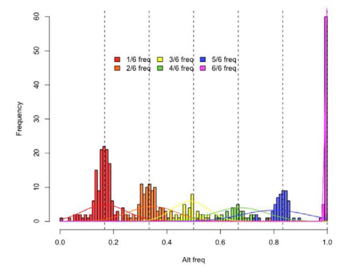 1/6씩 증가하는 allele frequency 양상을 보이는 SNP의 예