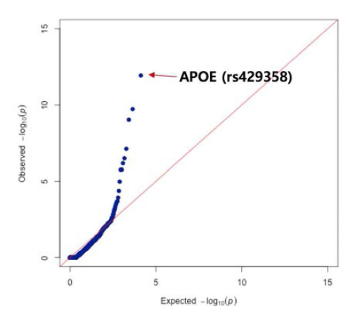대조군-알츠하이머군 사이의 변이 연관 분석 결과를 Q-Q plot으로 나타낸 그림. 이미 그 연관성이 잘 알려진 APOE 변이가 가장 높은 유의성을 보이고 있으며 그 아래로 약 10개 정도의 변이들이 흥미로운 연관성을 보이고 있음.