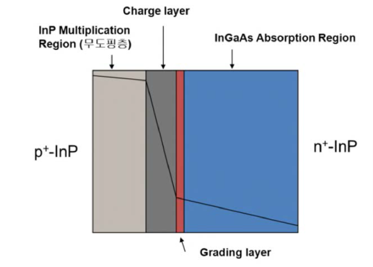InGaAs/InP 광검출기의 전기장 분포