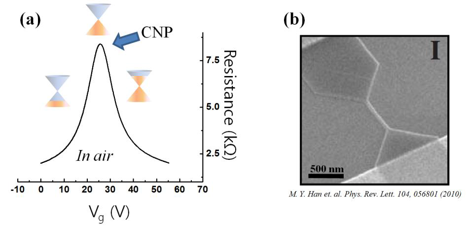 (a) 그래핀 전자 소자의 공기 중에서의 전하 수송 특성 결과. (b) GNR의 전자 현미경 이미지