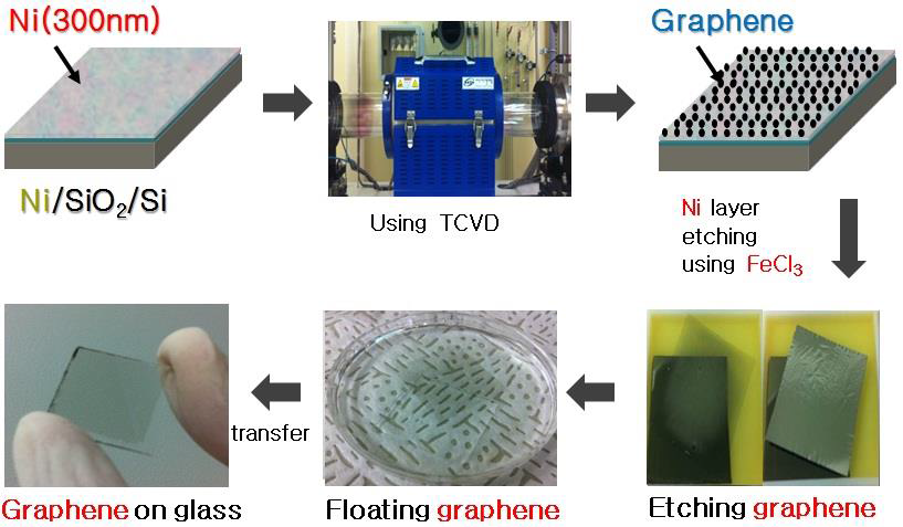 TCVD를 이용한 그래핀의 성장방법과 기판으로의 전사방법