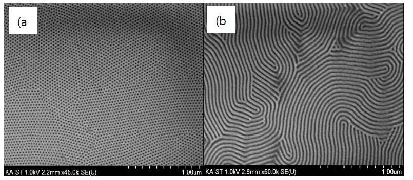 그래핀 기판에 적용된 정렬된 자기정렬블록공중합체 (a)cylinder (b)lamellae