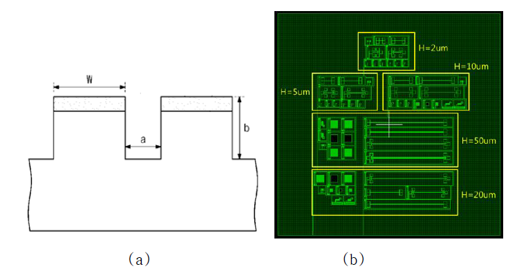 미세 트렌치 구조 설계. (a) 미세 트렌치 형상, (b) 다양한 깊이의 패턴 설계