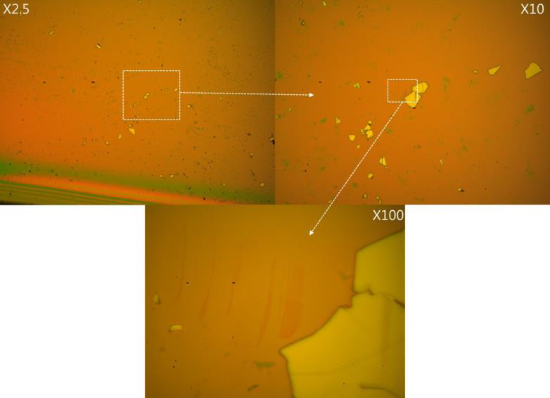 PMMA 로 coating 된 기판위에 기계적 박리 방법을 이용하여 준비 된 그래핀의 렌즈배율에 다른 광학적 이미지