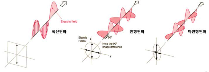 편파의 분류