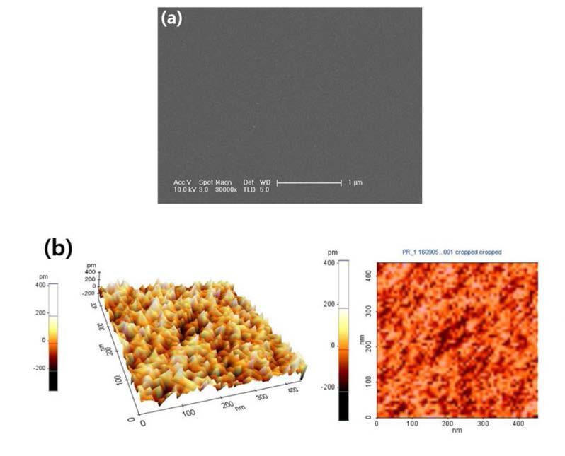 Surface morphology characterization of VO2/TiO2: SEM (a) and AFM (b) images