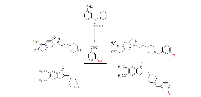 보결그룹을 이용한 meta-[18F]F-Donepezil과 meta-[18F]F-CP118,954