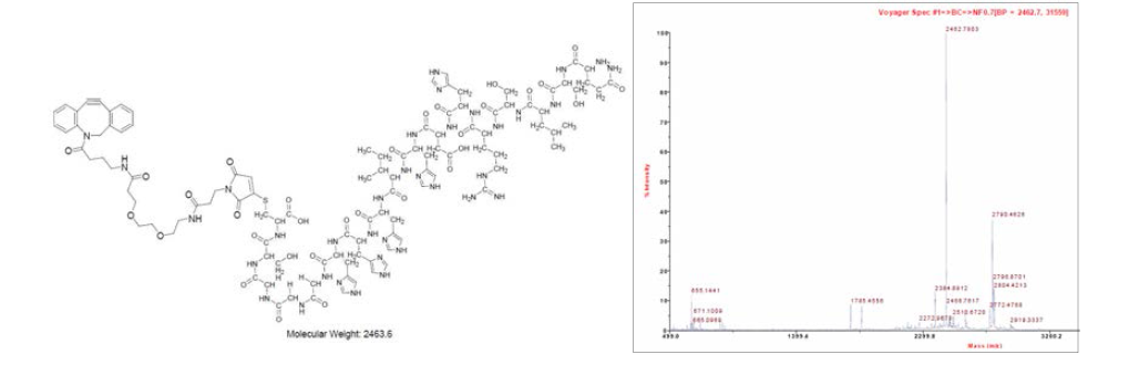 Structure of dibenzoyclooctyne(NH2)-SM(PEG)2-cMBP-GGG-SC(SH) and Maldi-tof analysis, [M+H]+ found (calc.):2462.7