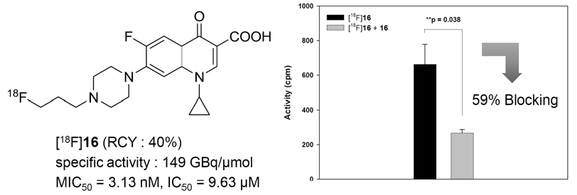 N-[18F]fluoropropylciprofloxacin의 구조 및 in vitro 결과