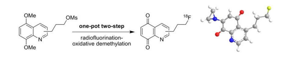 F-18이 표지된 Quinolinedione의 구조 및 합성 과정