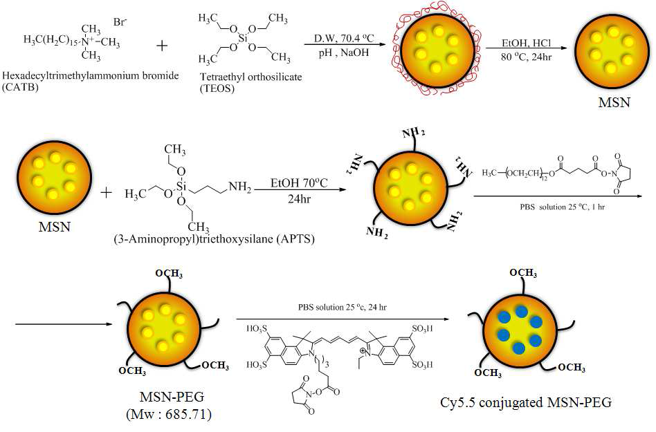 MSN 나노입자의 합성과정 모식도