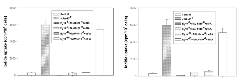 ER ligands 동시에 처리에 의한 iodine uptake 확인