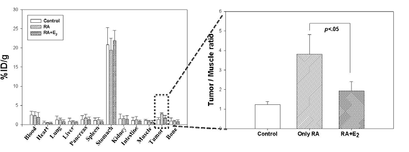 동물모델에서 biodistribution 결과