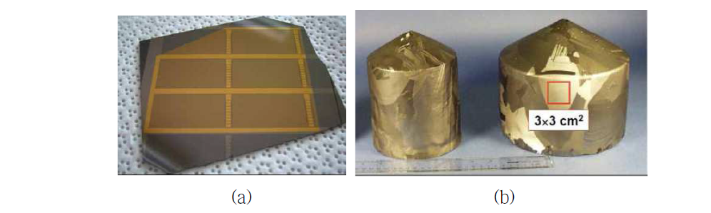 최근 새롭게 개발된 crystal 기르는 방법의 예. (a) ACRORAD (JAPAN), (b) EI Detection & Imaging Systems(USA)
