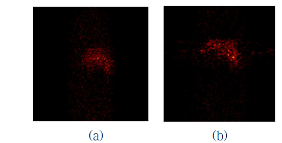 CdTe 반도체 검출기 기반의 SPECT 시스템에서의 mouse Liver의 프로젝션 (a), 재구성 영상 (b)