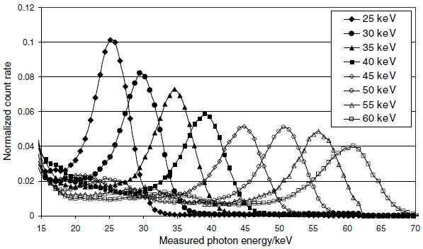25~60 keV 범위에서 에너지에 따른 검출기 응답특성과 계수효율