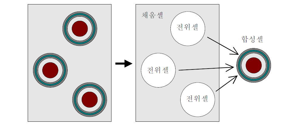 채움셀을 이용한 핵연료 콤팩트의 셀 구성