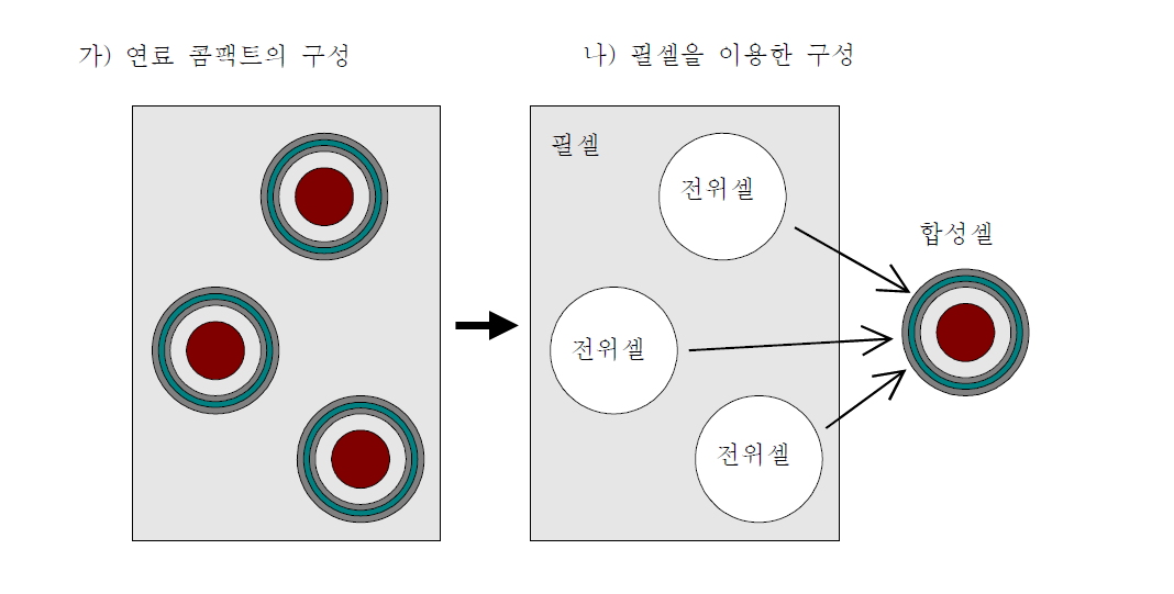 필셀을 이용한 핵연료 콤팩트의 셀 구성