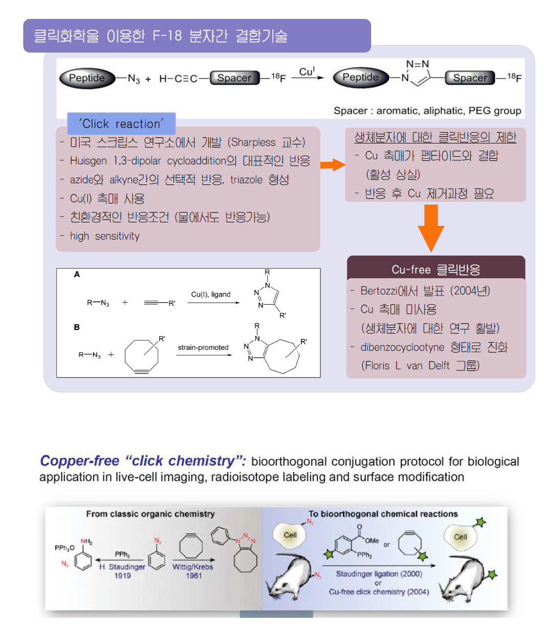 클릭화학을 이용한 peptide 표지 반응 및 Cu Free 클릭화학