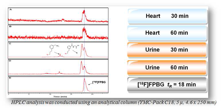 정상 rat에서 1[ F]F-gluanidine의 체내 안정성 HPLC 프로파일