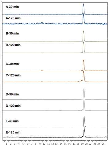 종양 마우스 모델에서 SNUBH-NM-505의 체내 안정성 HPLC 프로파일