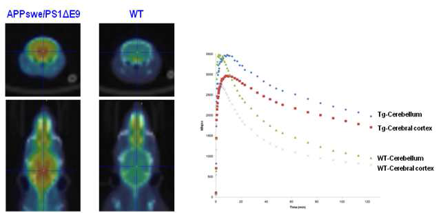 알츠하이머병 모델 형질전환 마우스(APPswe/PS1△E9)와 wild type 마우스에서 SNUBH-NM-333 뇌 PET 영상