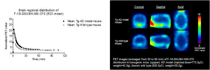 AD모델 형질전환(APPswe/PS1􎬑E9)과 wild type 마우스에서 SNUBH-NM-350 뇌 PET 영상