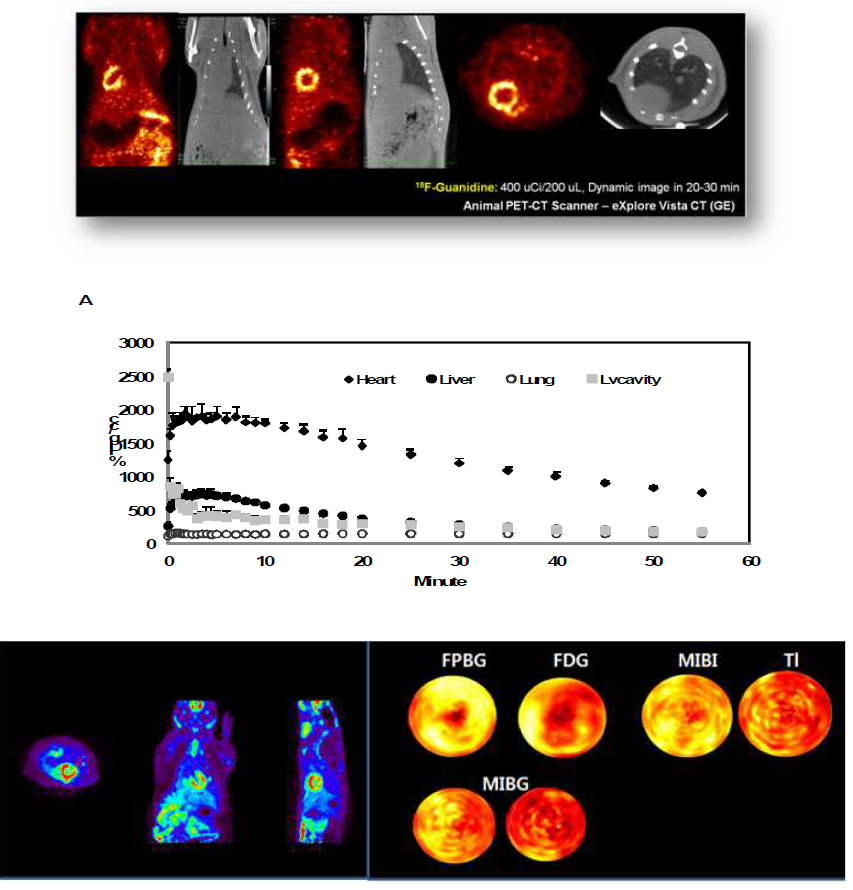 [18F]F-guanidine의 microPET 영상과 장기별 Time-activity curve 그리고 허혈성 심근 모델에서의 다른 심근 영상 의약품과의 나노분자영상 비교