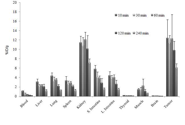 SNUBH-NM-505의 종양모델에서 방사능농도 분포도