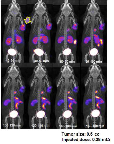 SNUBH-NM-505의 종양모델에서의 나노분자영상(10~180 분)
