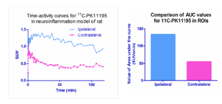 [11C]PK1119의 뇌 결합 그래프