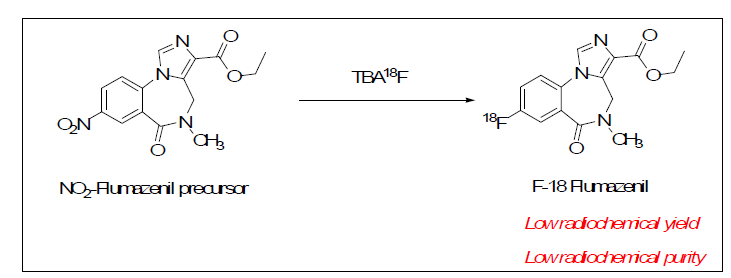 NO2-Flumazenil 전구체를 이용한 F-18 Flumazenil 표지 한계성