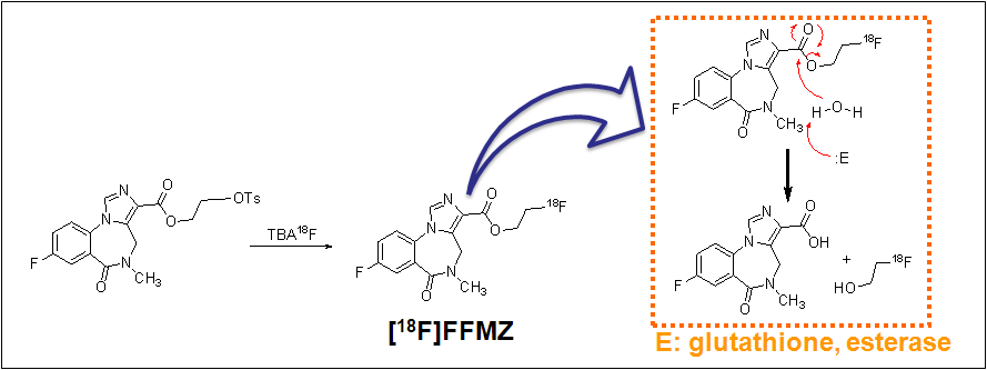 F-18 Fluoro Flumazenil 전구체를 이용한 F-18 Flumazenil 표지 한계성