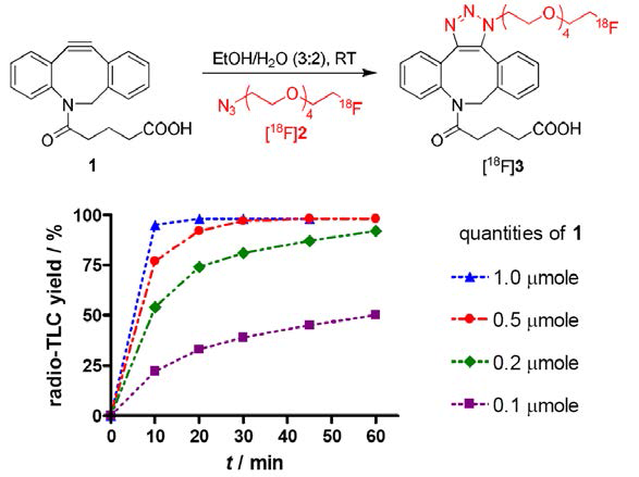 모델화합물과 [18F]fluorohexaethylene glylic azide의 cycloaddition (SPAAC)의 반응